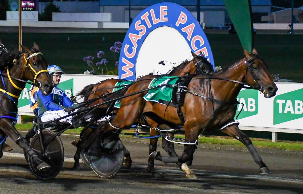 TOUGH: Expensive Ego winning at Newcastle. Picture: Racing at Club Menangle Trackside