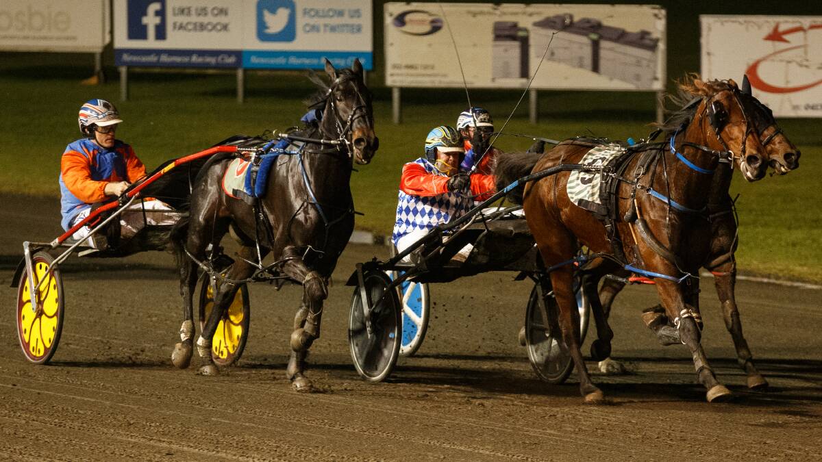 Visitors cruise to big victories at Newcastle Paceway