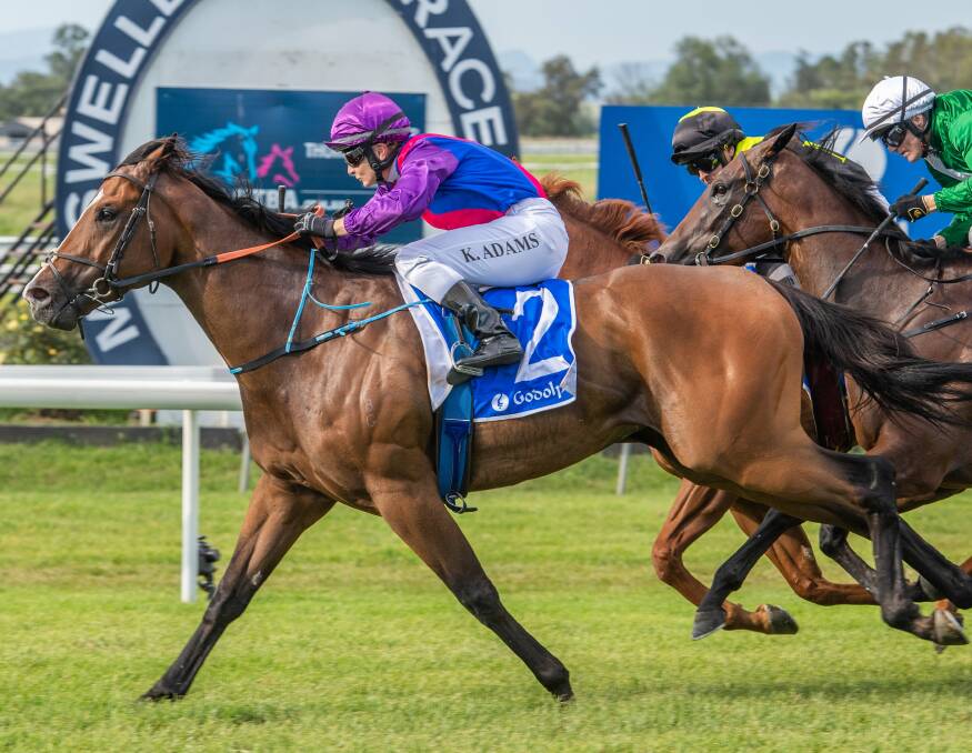 FLYING: The Paul Messara-trained Elvezio and jockey Kacie Adams storm to victory in the last at Muswellbrook on Monday. Picture: Muswellbrook Race Club