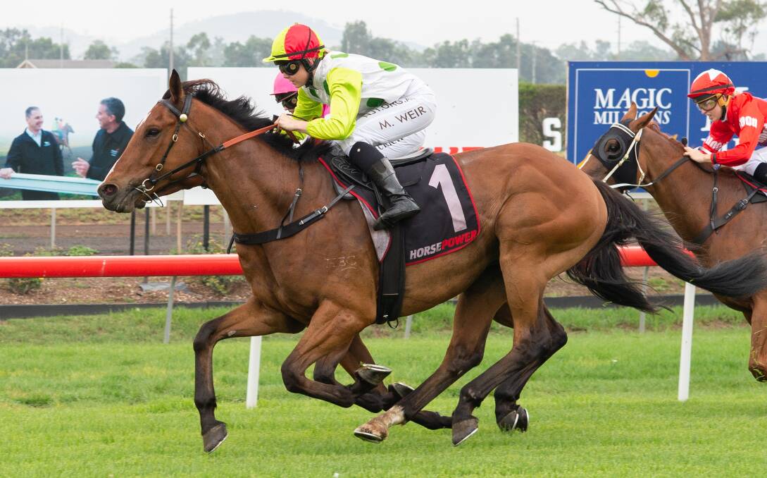 Alot To Hoffa winning at Muswellbrook. Picture: Muswellbrook Race Club