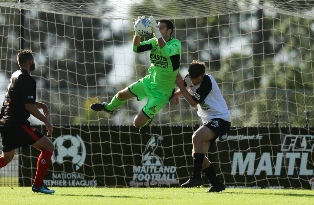 NPL: Matt Trott keen to go out on a high with Maitland Magpies