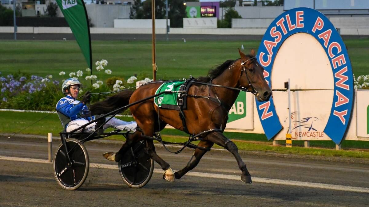 ROYAL PERFORMANCE: King Of Swing cruises to victory in track record time at Newcastle on Sunday night. Picture: Racing at Club Menangle Trackside