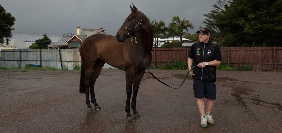 CHANCE: In Her Time with trackwork rider and Lees Racing travelling foreman Cameren Swan. Picture: Max Mason-Hubers