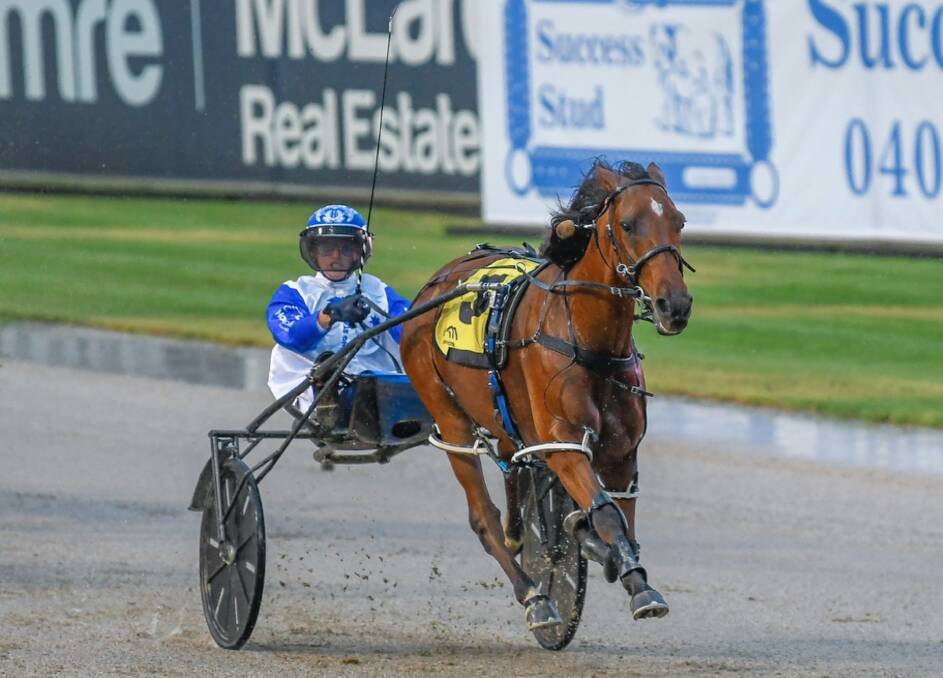 BREAKTHROUGH: Blake Hughes salutes on Marty Major after their all-the-way win in the HRNSW Rising Stars Championship on Saturday night at Menangle. Picture: Club Menangle Trackside