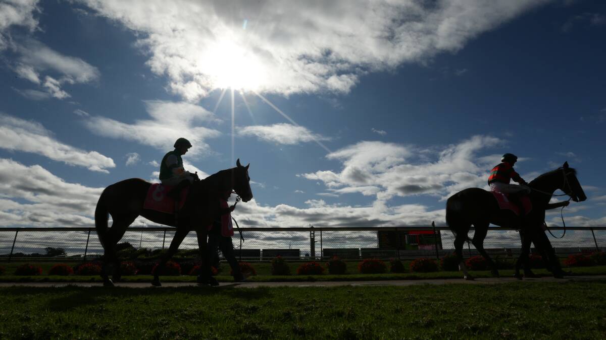 Racing NSW stewards raid Newcastle Racecourse stables