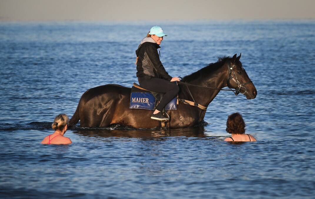 Strapper Ashley Jarvis riding Gold Trip at Carrum Beach. Picture Getty Images