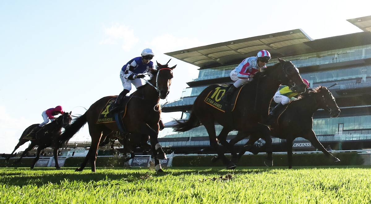ROUGH RESULT: Raheen House, No.4, finishing third behind Etah James and The Chosen One on Saturday in the Sydney Cup. Picture: Getty Images