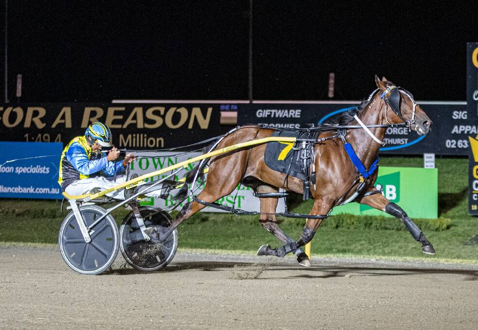 DRIVING FORCE: Guy Chapple and La Cabeza Gem cruised to victory in their 2YO fillies heat at Newcastle Paceway on Friday night. Picture: Btahurst Harness Racing Club