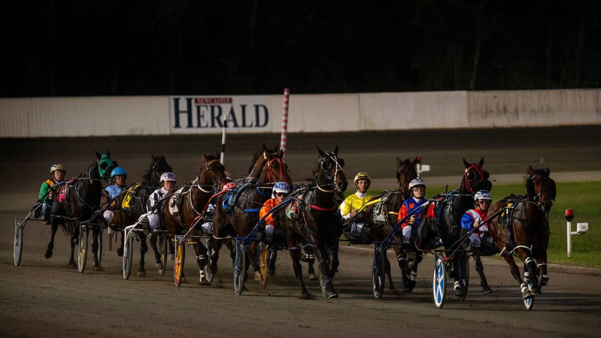 Harness racing: Shane Harmey pacer chasing hat-trick at Newcastle