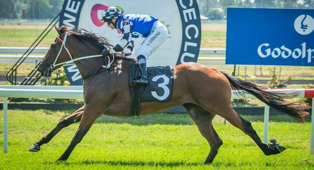 ON TOP: Newcastle two-year-old of the year Zeftabrook winning at Muswellbrook. Picture: Muswellbrook Race Club 