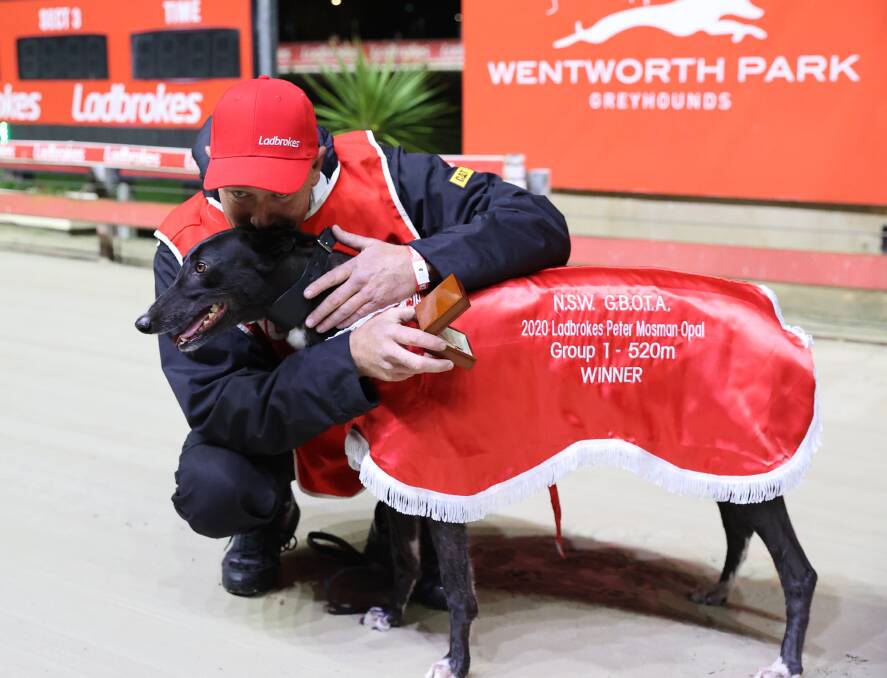FLYING STAR: Sydney trainer Barry Gibbons and Lilly Banner after their Peter Mosman Opal victory last month at Wentworth Park. Picture: thedogs.com.au