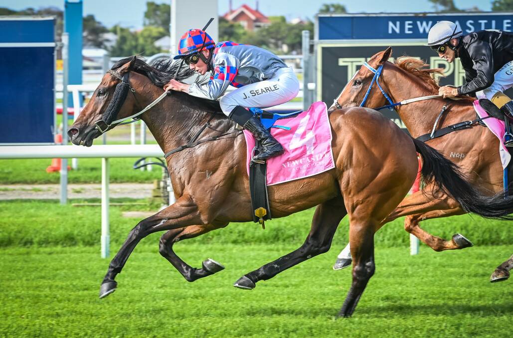 HOME: The Andrew Macdonald-trained Major Murphy, with Jackson Searle aboard, takes out the Robert Thompson Handicap at Newcastle on Sunday. Picture: Newcastle Racecourse
