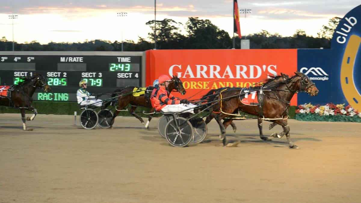 Royal Gamble wins down the outside on Saturday night. Picture: Racing at Club Menangle Trackside