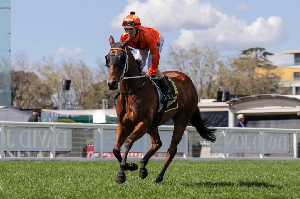 CHANCE: Group 1-winner El Dorado Dreaming, carrying the Lees Racing colours, was a $7.50 hope for the group 2 Villiers Stakes. Picture: Getty Images