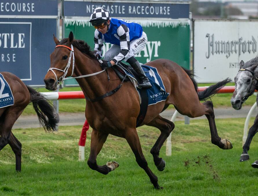 ON TRACK: Mugatoo winning the Newcastle Cup with Kerrin McEvoy aboard last month. McEvoy will ride Probabeel in the Cox Plate on Saturday. Picture: Marina Neil
