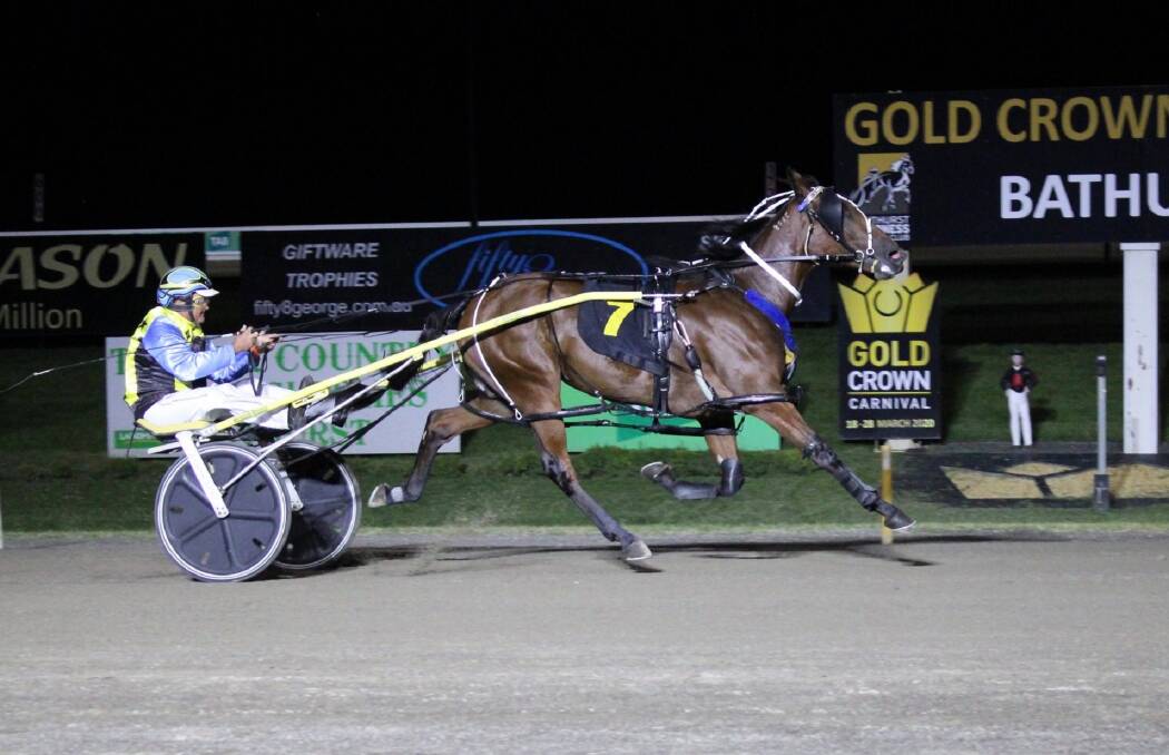 IN THE CLEAR: La Cabeza Gem and driver Guy Chapple cruise to victory in their Gold Tiara heat last week. She was a $16 chance with TAB Fixed Odds on Friday for the $100,000 final on Saturday night. Picture: Bathurst Harness Racing Club