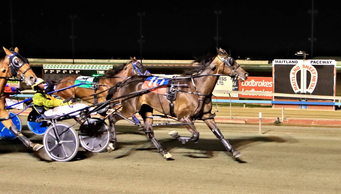 TOO GOOD: Benalong Valley and driver Cameron Hart are first past the post in the Inter City Pace final on Saturday night. Picture: Coffee Photography