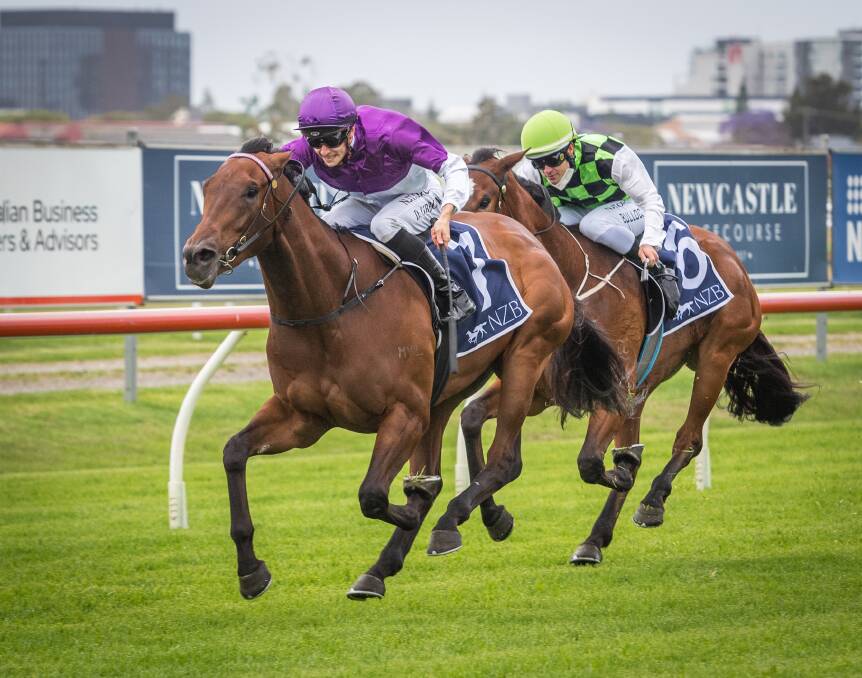 RIGHT AT HOME: Contributingfactor, with apprentice Dylan Gibbons aboard, winning at Newcastle at a previous start. He was dominant again on Saturday with Chris Williams in the saddle. Picture: Newcastle Racecourse