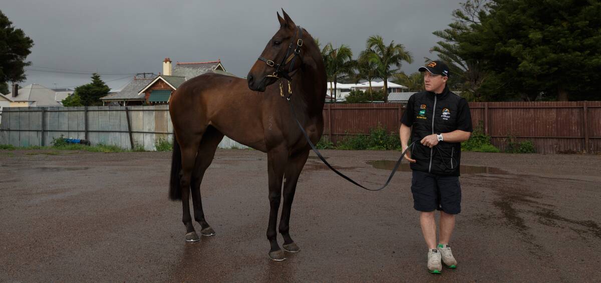 BACKING UP: In Her Time, with travelling foreman Cameren Swan, before last year's Everest. Picture: Max Mason-Hubers