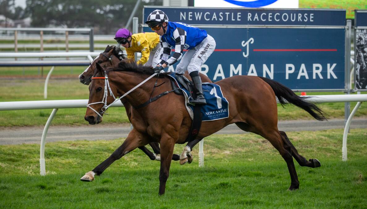 WILDCARD: Australian Bloodstock import Mugatoo and jockey Kerrin McEvoy giving trainer Kris Lees a first Newcastle Cup victory last September. Picture: Marina Neil