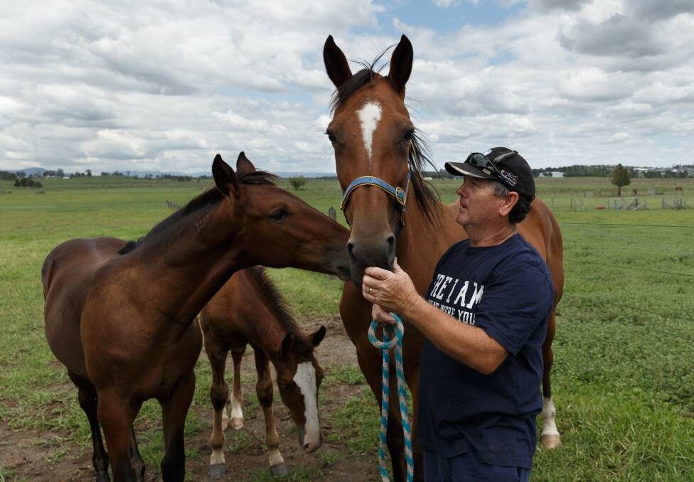 WINNING MOVE: Owner-breeder Michael Elder with mare Luminous Energy and foals at his Louth Park property on Thursday. Elder's Bright Energy will carry Hunter hopes in the group 1 Newcastle Mile on Friday night. Picture: Max Mason-Hubers
