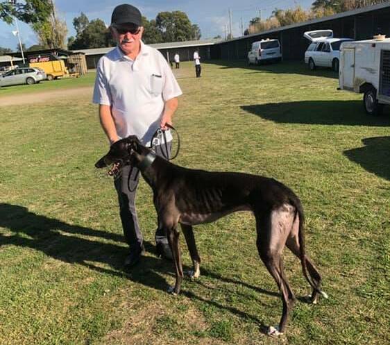 Ray Walters. Picture: Maitland Greyhounds