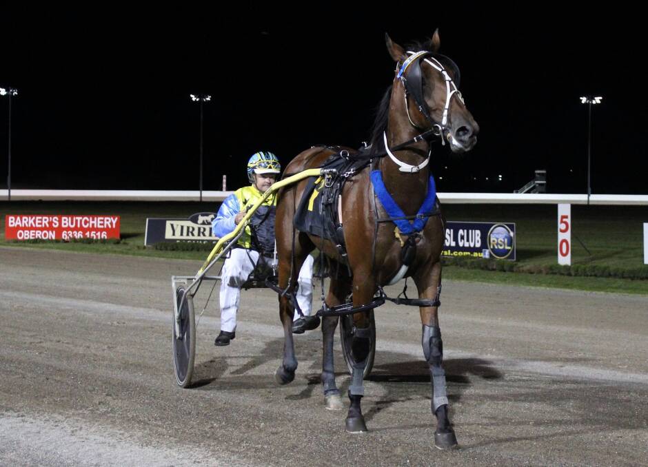 Harness racing: Chapple double act steals the show in Newcastle heats of 2YO Breeders Challenge