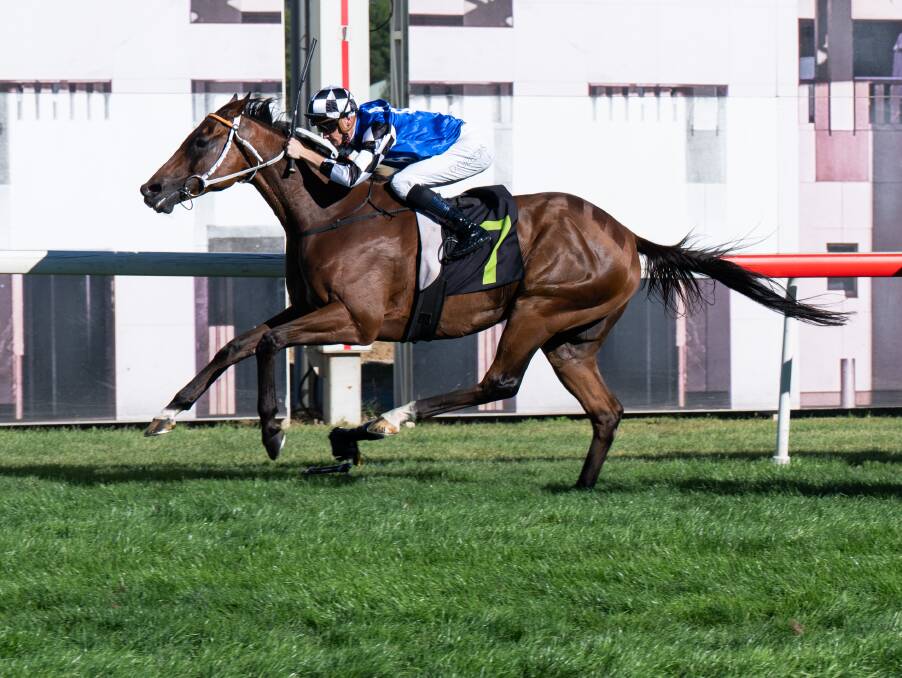 Almania winning the Canberra Cup with Dylan Gibbons riding. Picture by Elesa Kurtz