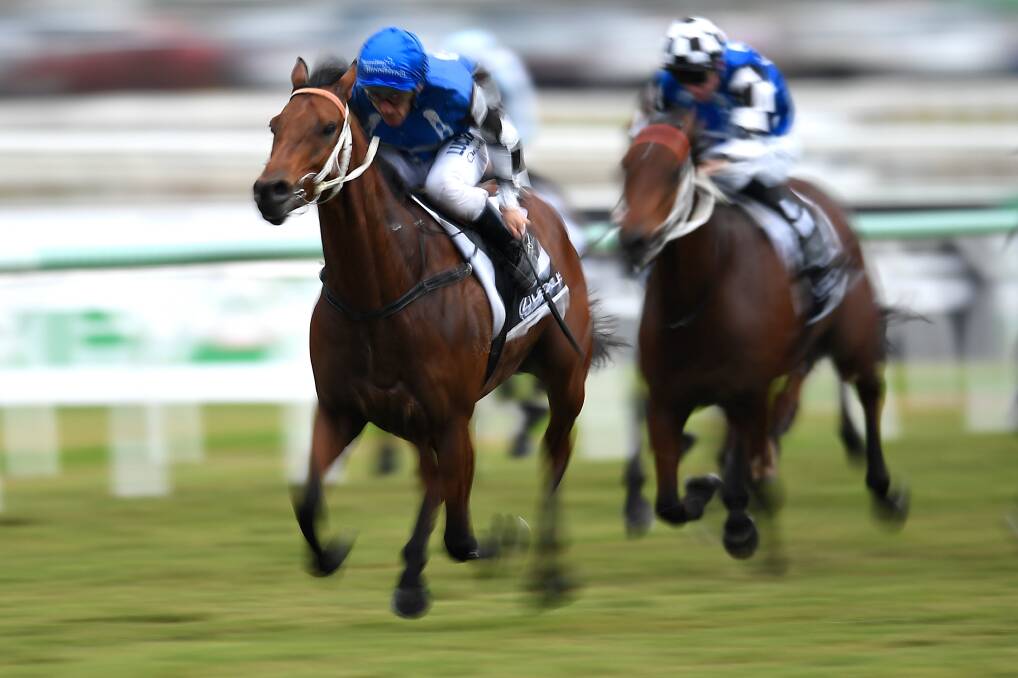 SMASH HIT: Sixties Groove storms to victory in the Brisbane Cup with stablemate Big Duke running on for third on Saturday at Eagle Farm. Picture: AAP