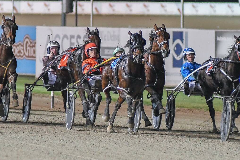 CHANCE: The Mark Callaghan-trained Royal Gamble, centre, finishing second in his heat at Menangle last Saturday night. The performance was enough to gain a spot in this Saturday night's group 3 decider. Picture: Club Menangle