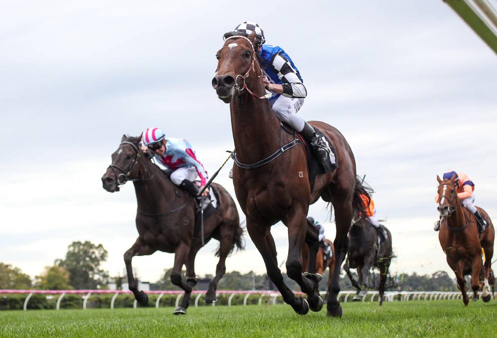 NICE SURPRISE: Articus, pictured winning at Flemington in 2017, could next race in the Cameron Handicap at Newcastle on September 20. Picture: Getty Images