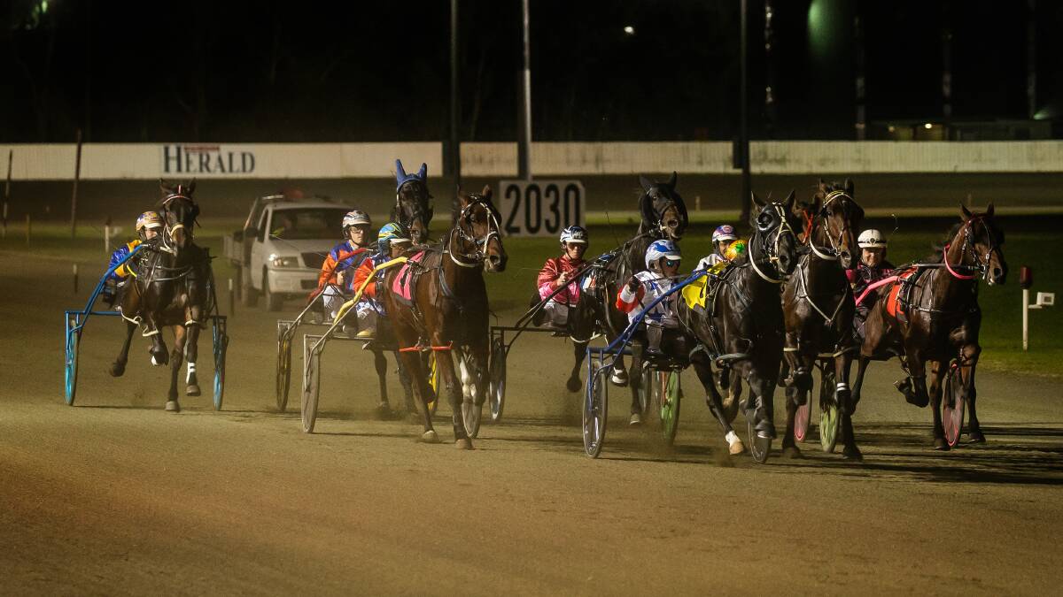 Harness racing: Rookie trainer Lily Hosking hunts back-to-back wins at Newcastle with Sunny Town