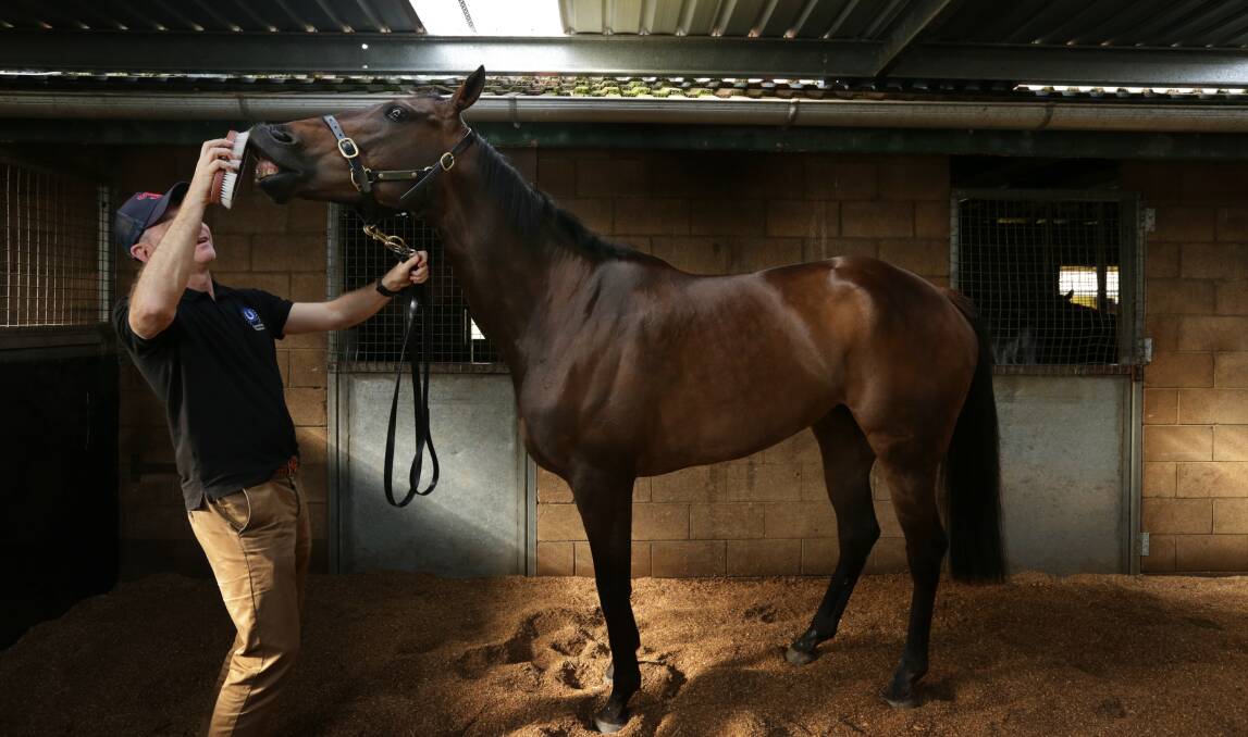 FINAL CAMPAIGN: Newcastle trainer Kris Lees and star mare In Her Time. Picture: Simone De Peak