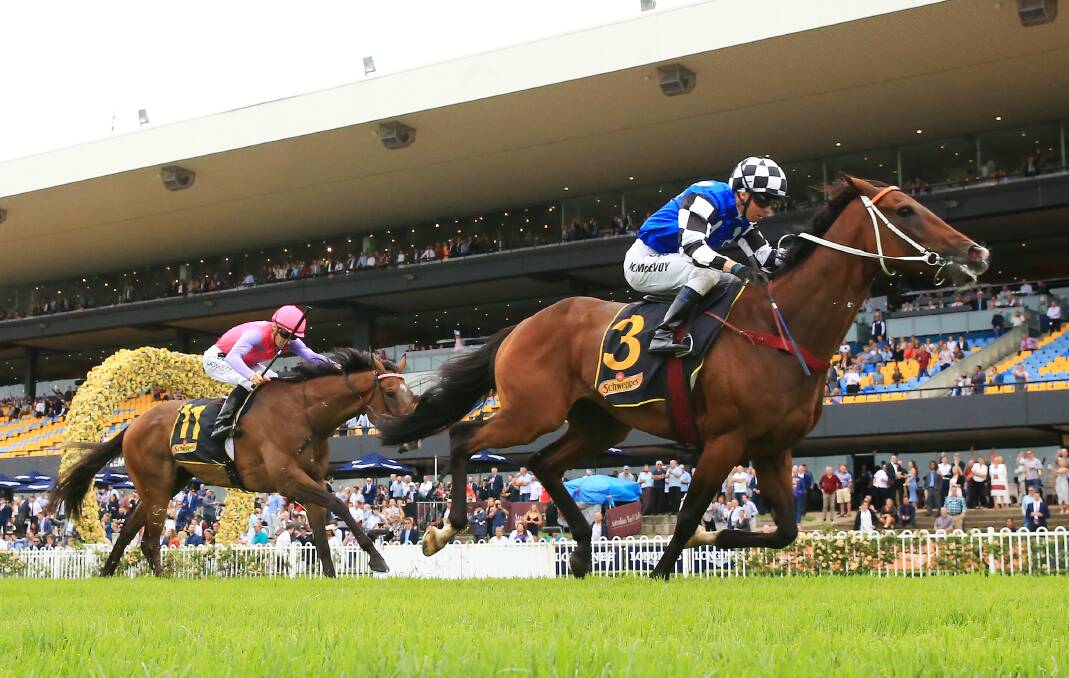 LAST SHOT: Red Cardinal, with Kerrin McEvoy aboard, winning the Sky High Stakes at Rosehill on March 16. Picture: Mark Evans/Getty Images