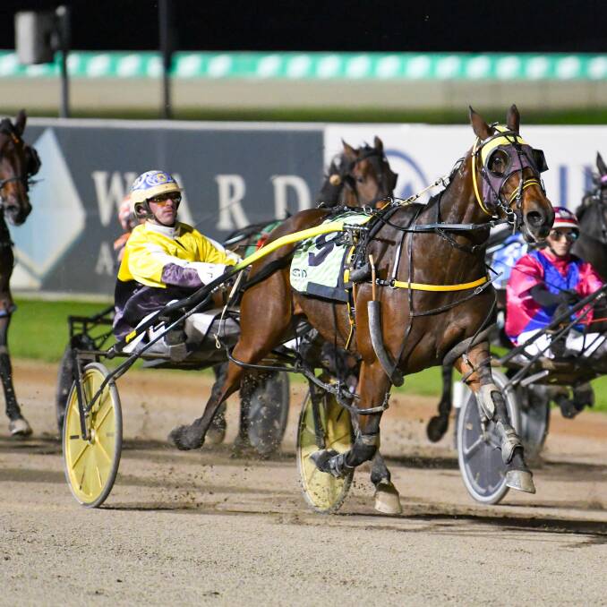 POLE POSITION: The Joe Clark-trained Misterfire storming to victory at Menangle last month with Cameron Hart in the gig. Picture: Racing at Club Menangle Trackside