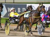 POLE POSITION: The Joe Clark-trained Misterfire storming to victory at Menangle last month with Cameron Hart in the gig. Picture: Racing at Club Menangle Trackside