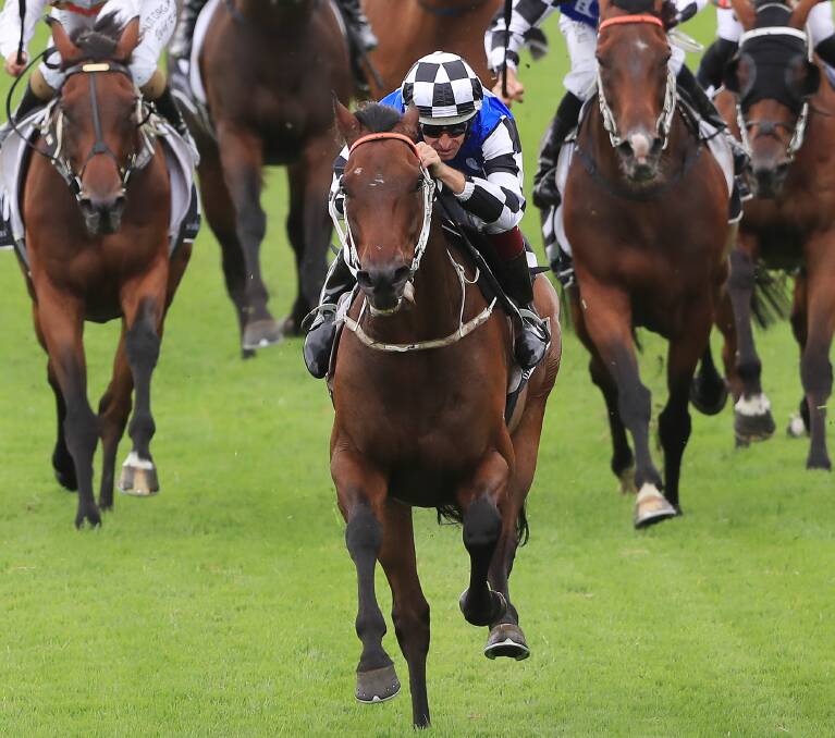 Mustajeer winning the listed Parramatta Cup. Picture: Getty Images
