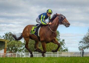 Petrology on Friday. Picture: Muswellbrook Race Club