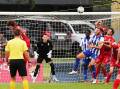 BIG LOSS: Keeper Nate Cavaliere in goals for Broadmeadow this Northern NSW NPL season against Newcastle Olympic. Picture: Peter Lorimer