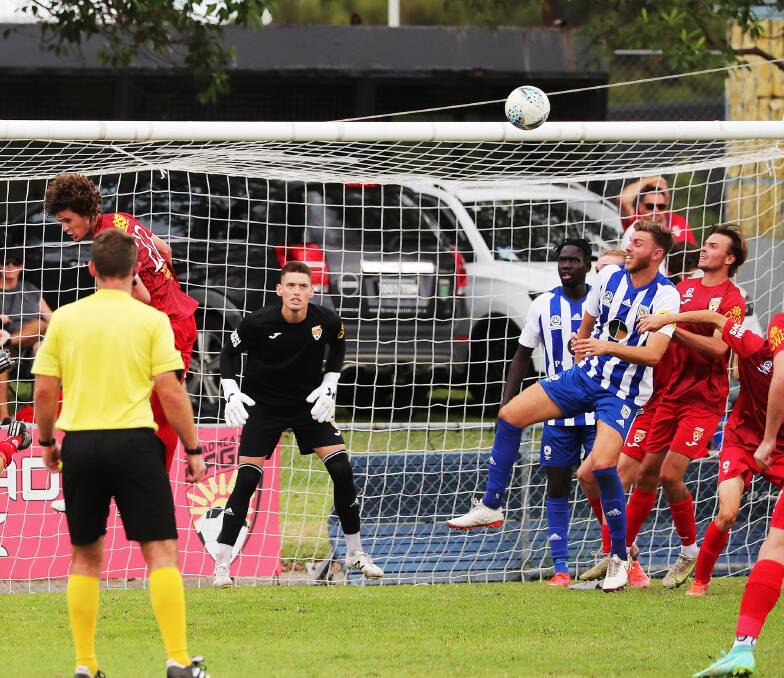 BIG LOSS: Keeper Nate Cavaliere in goals for Broadmeadow this Northern NSW NPL season against Newcastle Olympic. Picture: Peter Lorimer