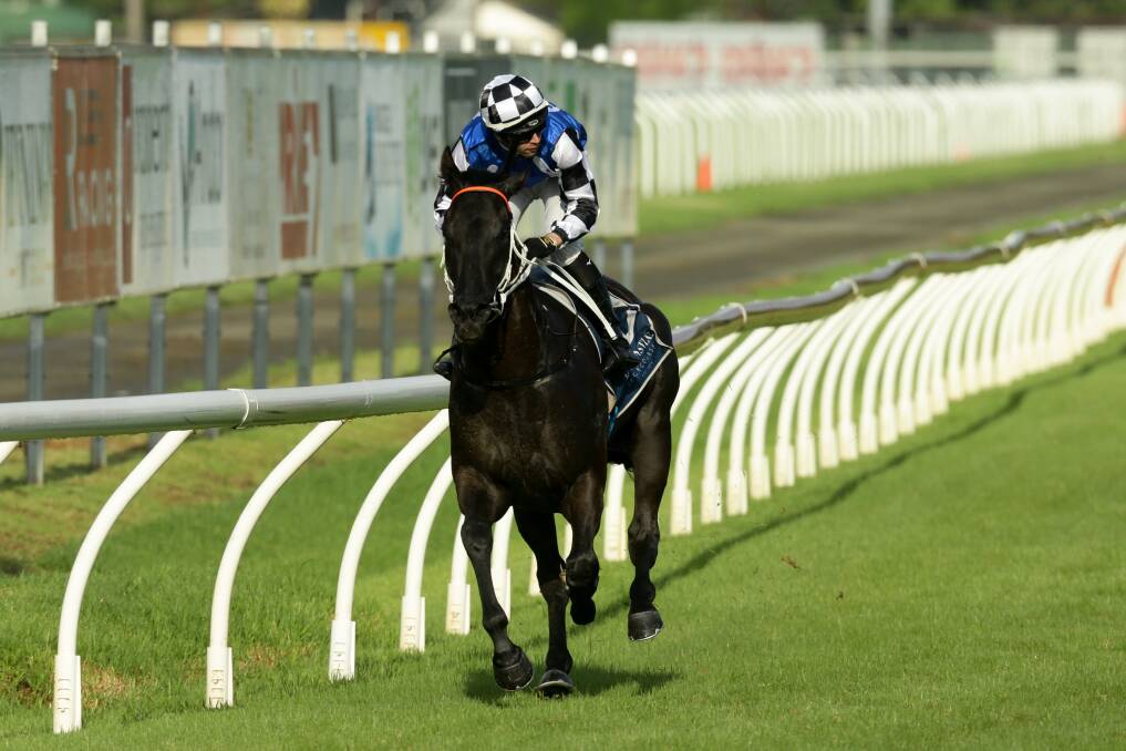OUT IN FRONT: Special Reward winning the group 3 Newcastle Newmarket Handicap at Broadmeadow in March. Picture: Jonathan Carroll