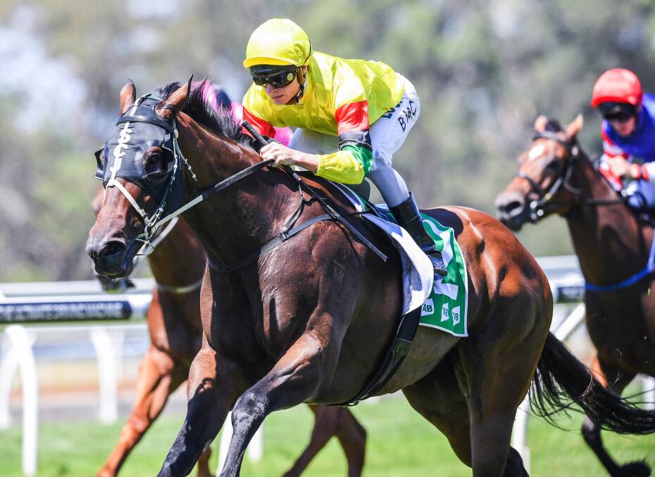 OPTIONS OPEN: The Stephen Jones-trained Akasaki produced again at the Scone carnival on Saturday. Picture: AAP