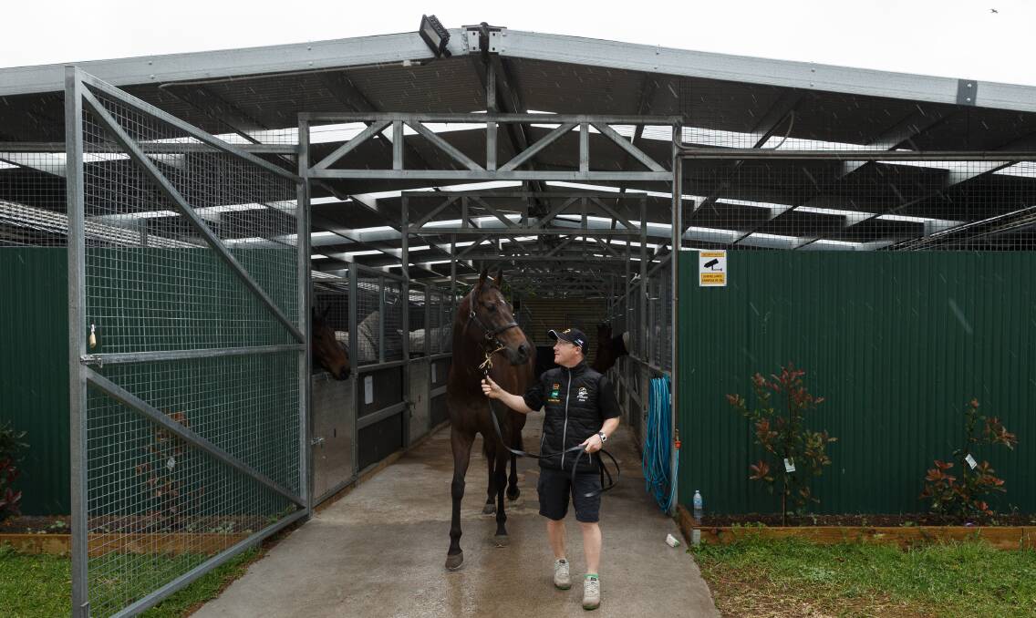 FRESH APPROACH: In Her Time at the Kris Lees stables before last year's Everest. Picture: Max Mason-Hubers