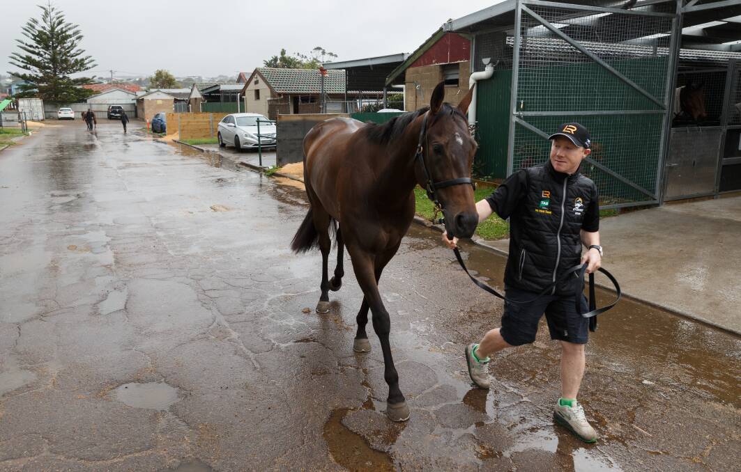 BACK IN WORK: Stable foreman and trackwork rider Cameren Swan with In Her Time at Kris Lees' Newcastle stables before last year's Everest. In Her Time represented the TAB in the 2018 race and will this year race for slot-holders Inglis. Picture: Max Mason-Hubers