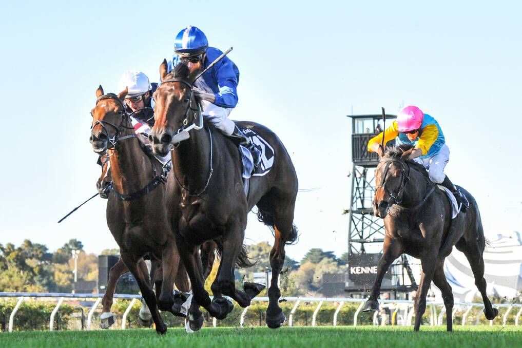HOPE: Oceanex winning the Andrew Ramsden in May to secure her Melbourne Cup spot. Picture: AAP