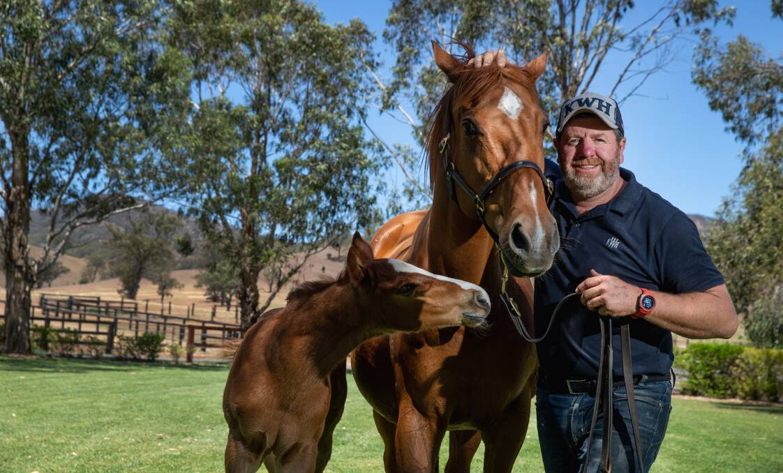 BRIGHT FUTURE: Kitchwin Hills Stud manager and part-owner Mick Malone with Hurdles and her colt resident stallion Sooboog.
