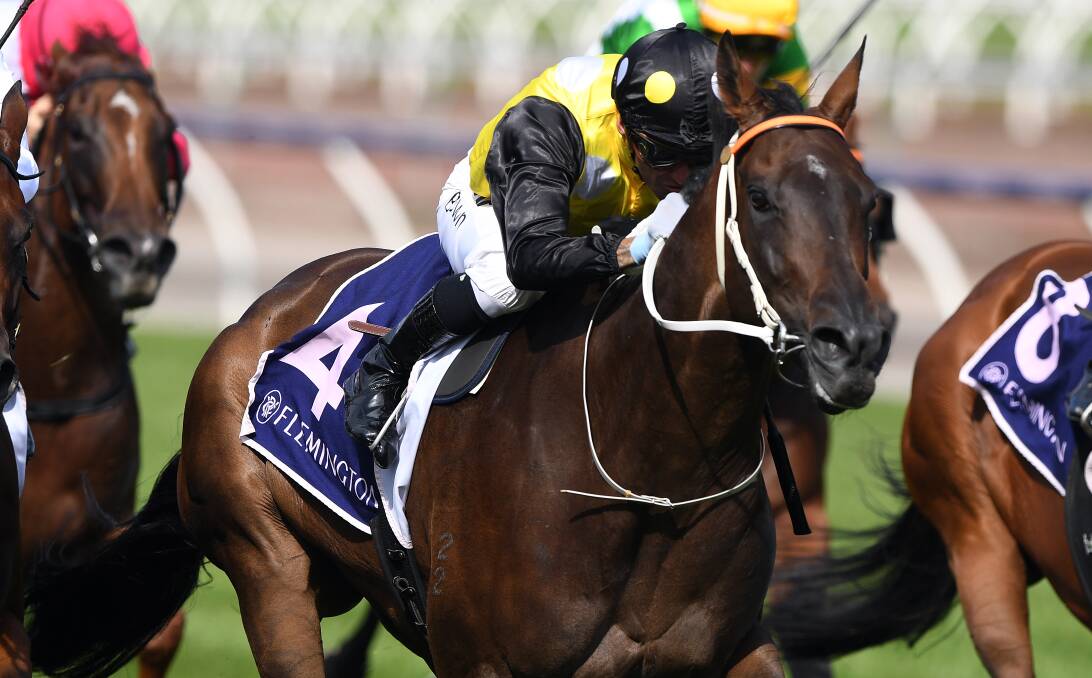 STAR: Kris Lees-trained Newcastle mare In Her Time winning the Lightning Stakes with Corey Brown aboard. She won the group 1 Galaxy when with now-suspended Newcastle trainer Ben Smith. Picture: AAP