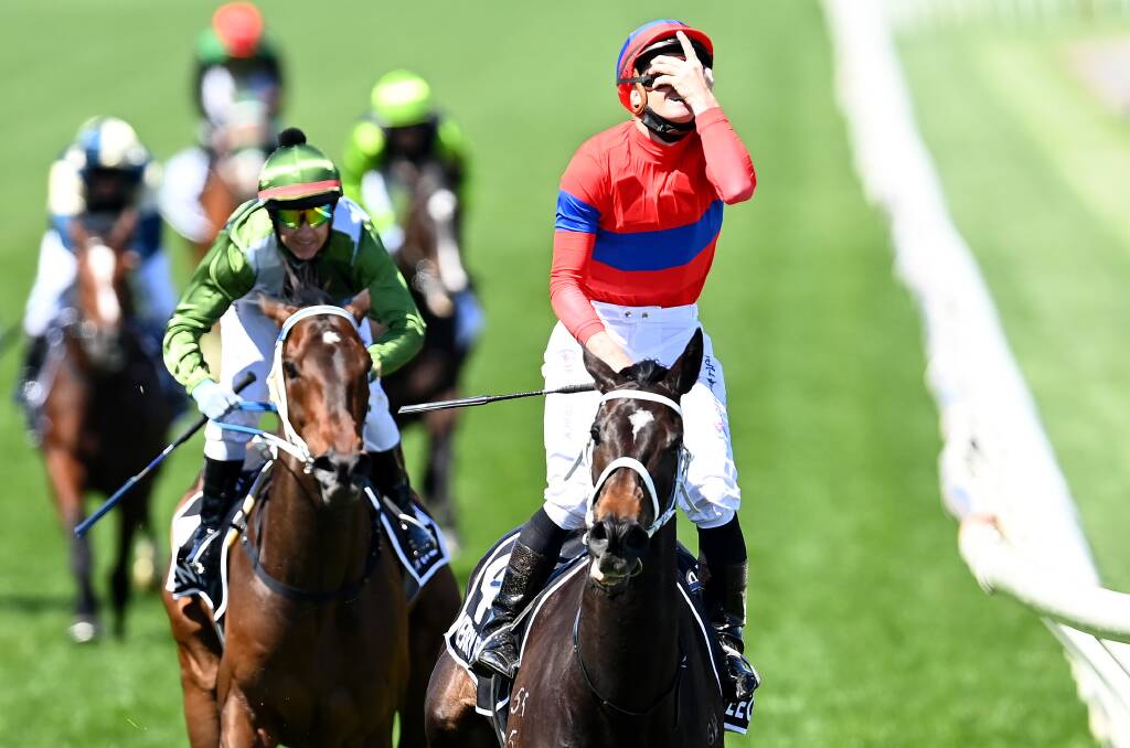 DOMINANT: Verry Elleegant wins the Melbourne Cup. Picture: Quinn Rooney/Getty Images
