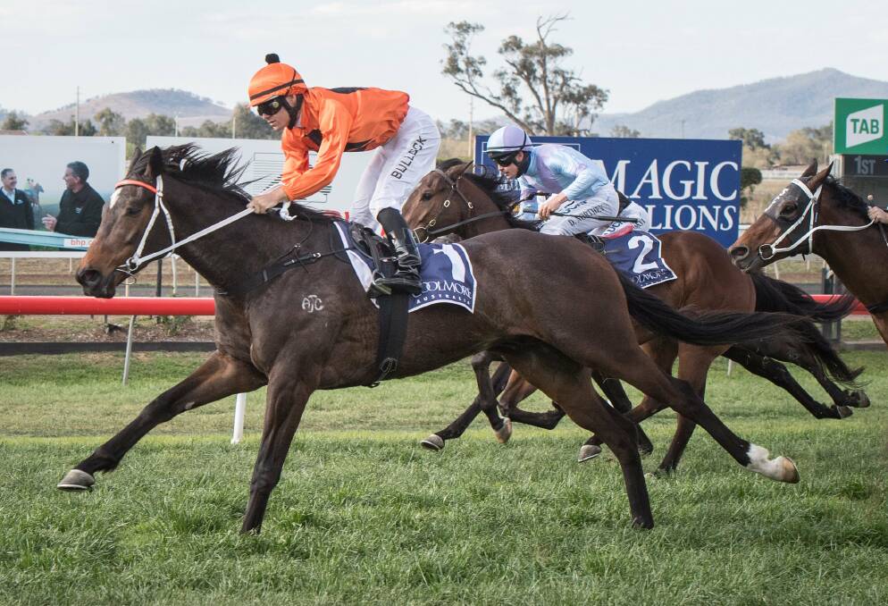 HOPE: Bombasay, pictured winning at Muswellbrook for Kris Lees, is a contender for Damien Lane on Saturday. Picture: Muswellbrook Race Club