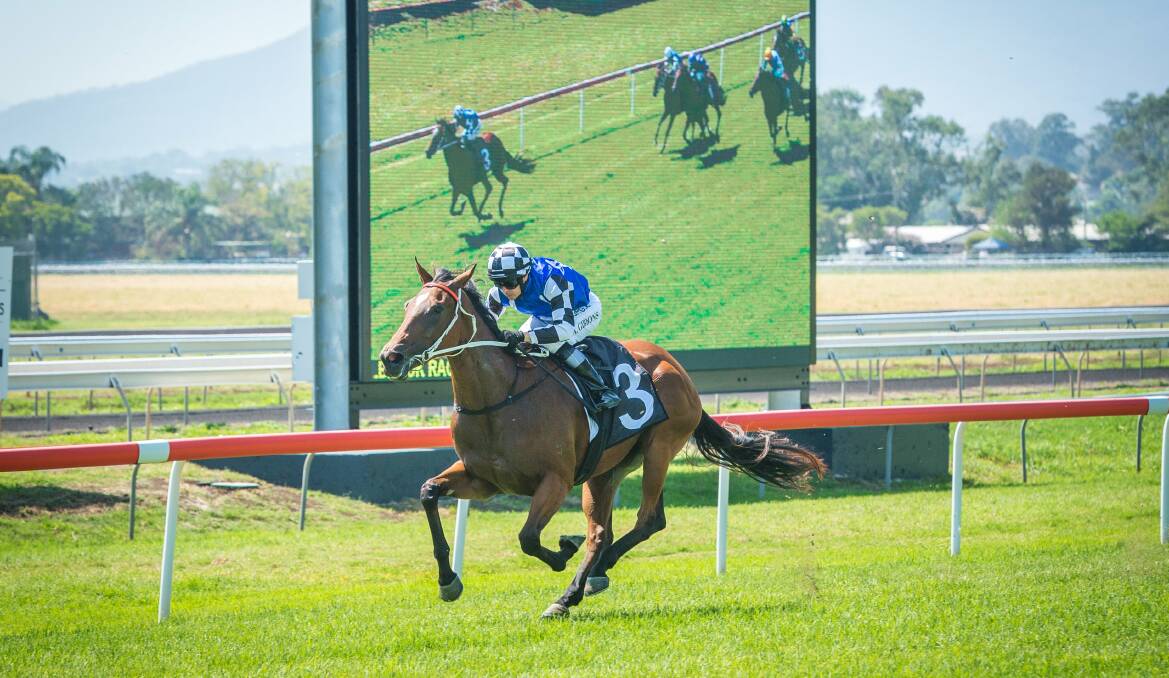 WINNING WAYS: Zeftabrook taking out the Starmaker at Muswellbrook. Picture: Muswellbrook Race Club
